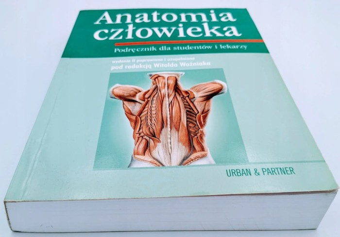 Anatomia człowieka Woźniak Witold