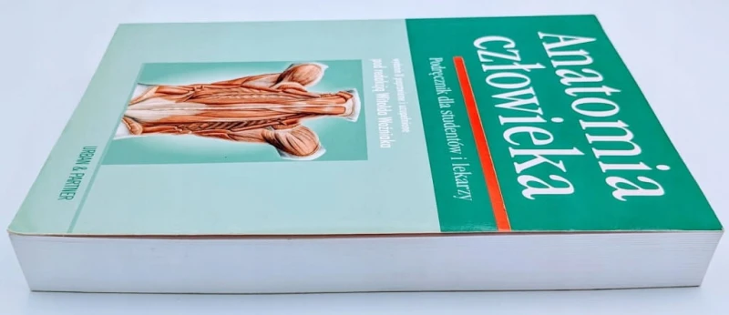Anatomia człowieka Woźniak Witold