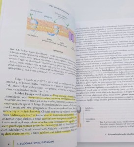 Podstawy biologii człowieka - komórka, tkanki, rozwój, dziedziczenie Hanna