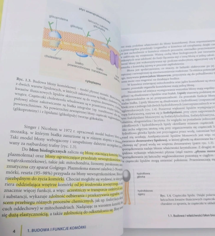 Podstawy biologii człowieka - komórka, tkanki, rozwój, dziedziczenie Hanna