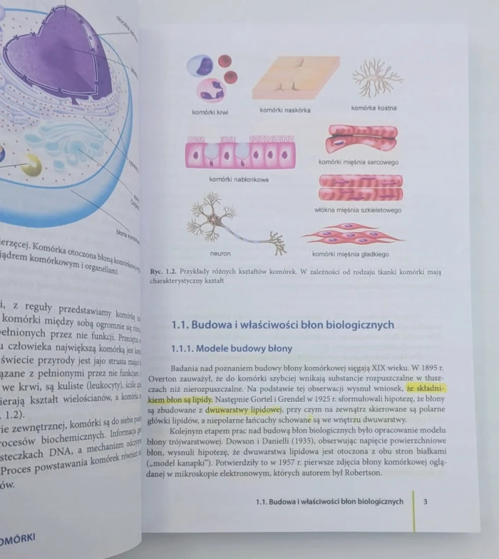 Podstawy biologii człowieka - komórka, tkanki, rozwój, dziedziczenie Hanna