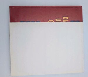 Diagnostyka ultrasonograficzna P.E.S.Palmer