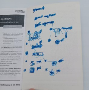 Postępowanie odwoławcze w sprawach karnych Dariusz Świecki