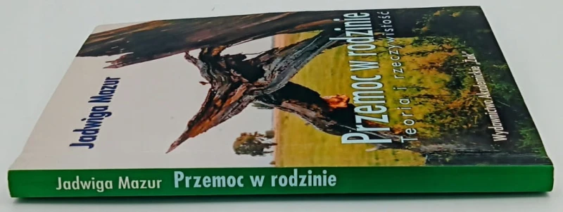 Przemoc w rodzinie. Teoria i rzeczywistość Jadwiga Mazur