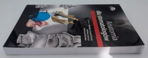 Anatomia dla stomatologów Praca zbiorowa