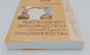 Pielęgniarstwo we współczesnym położnictwie i ginekologii Łepecka-Klusek